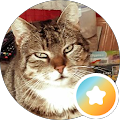 Marcel S. Marcel S.